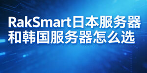 RakSmart