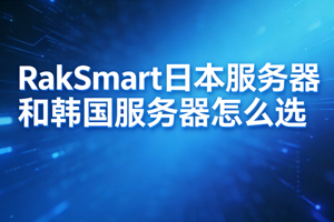 RakSmart