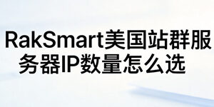 RakSmart