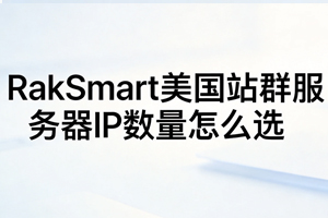 RakSmart
