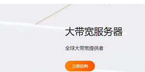 RakSmart