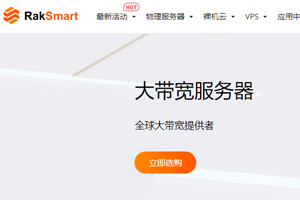 RakSmart