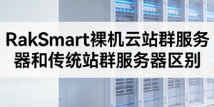 RakSmart