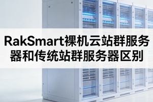 RakSmart