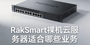 RakSmart裸机云服务器