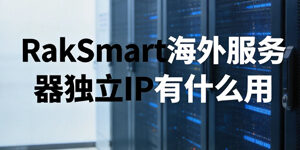RakSmart