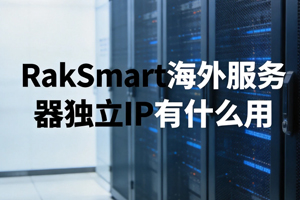 RakSmart