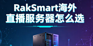 RakSmart