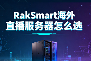 RakSmart