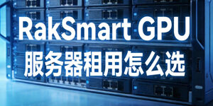 RakSmart GPU服务器