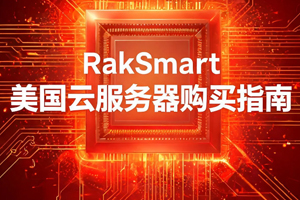 RakSmart