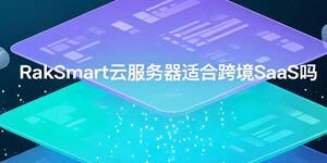 RakSmart