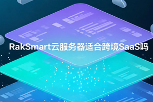 RakSmart