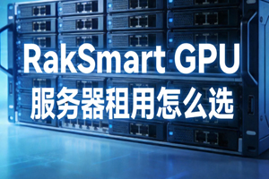 RakSmart GPU服务器