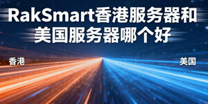 RakSmart