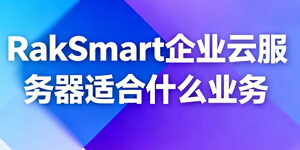 RakSmart