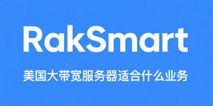 RakSmart