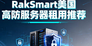 RakSmart
