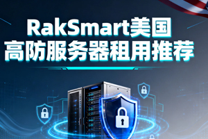 RakSmart