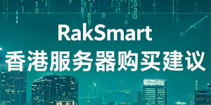 RakSmart