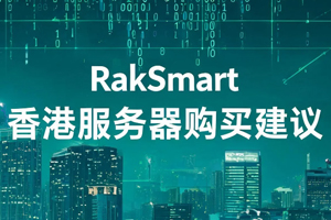 RakSmart