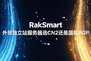 RakSmart