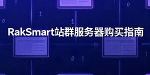 RakSmart