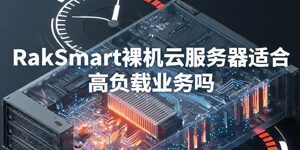 RakSmart
