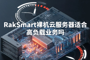 RakSmart