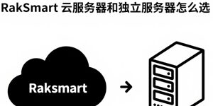 RakSmart