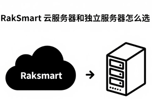 RakSmart