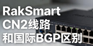 RakSmart