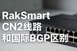 RakSmart
