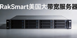 RakSmart美国大带宽服务器