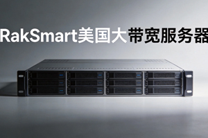RakSmart美国大带宽服务器