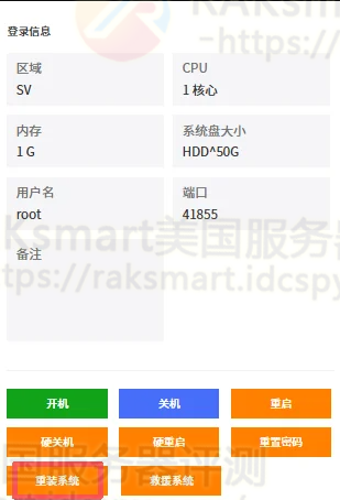 RakSmart