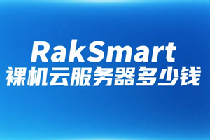 RakSmart