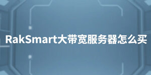 RakSmart