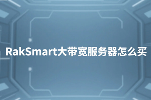 RakSmart
