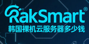RakSmart