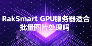 RakSmart