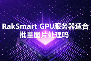 RakSmart