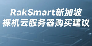 RakSmart