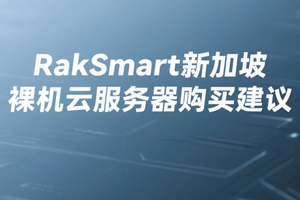RakSmart