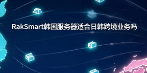 RakSmart