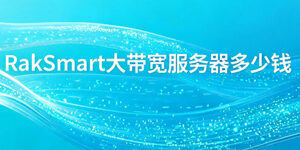 RakSmart