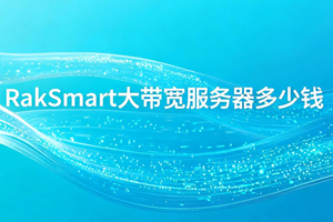RakSmart