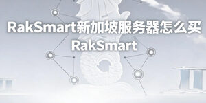 RakSmart