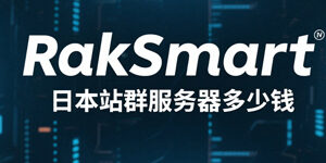 RakSmart