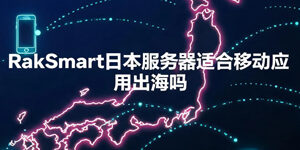 RakSmart